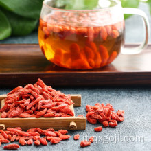 Frutta biologica di bacche di goji frutta wolfberry con nutrizione